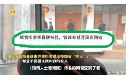 撕春联视频爆料者有哪些,背后真相与人物盘点